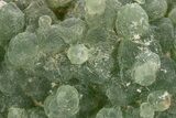 Botryoidal Prehnite and Epidote - Mali #315927-1